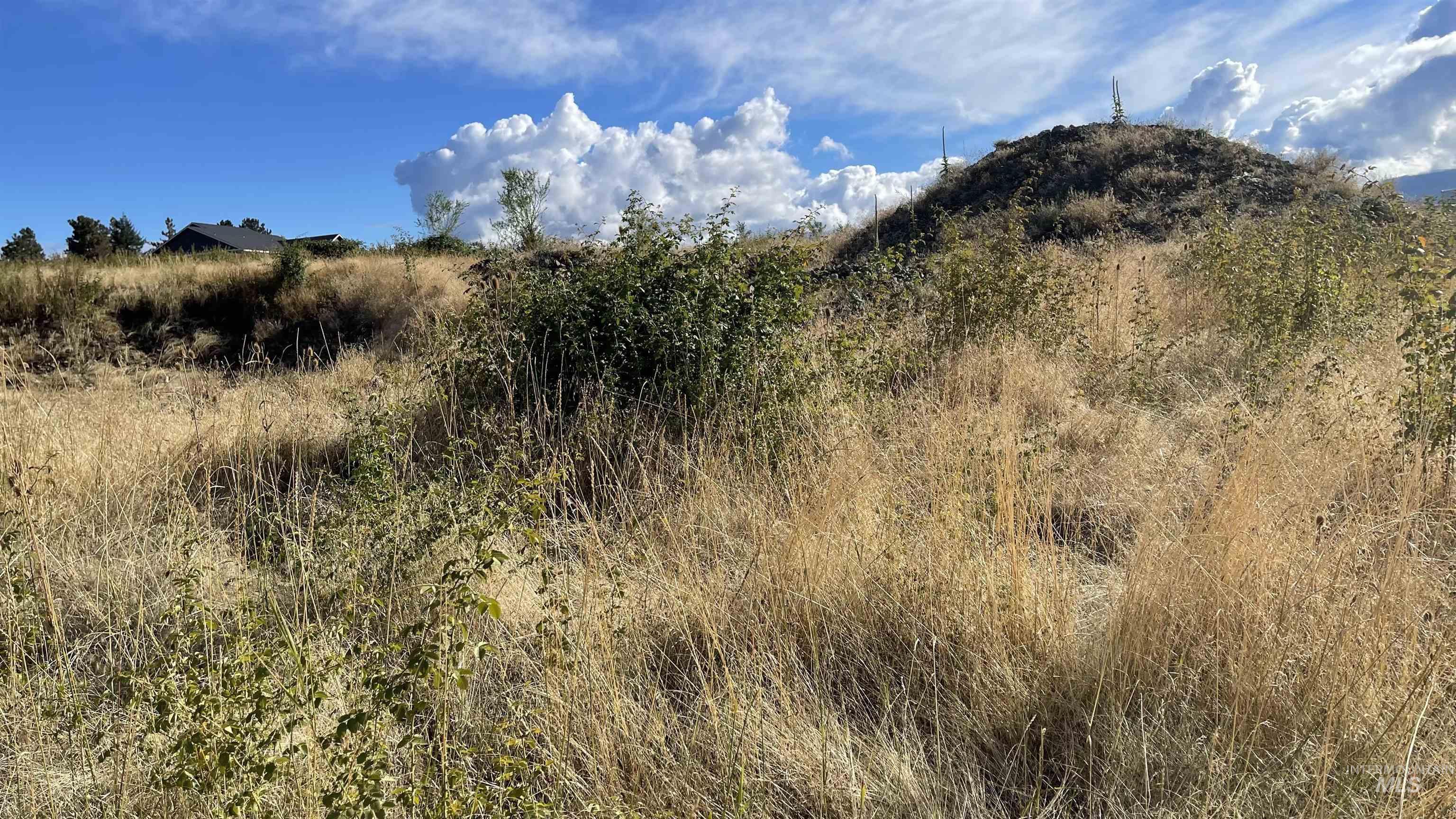 Tbd Golden Hills Dr Property Photo 16