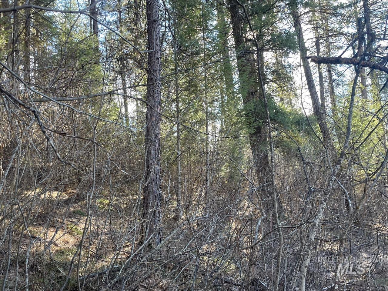 Tbd Meadow View Rd Property Photo 9