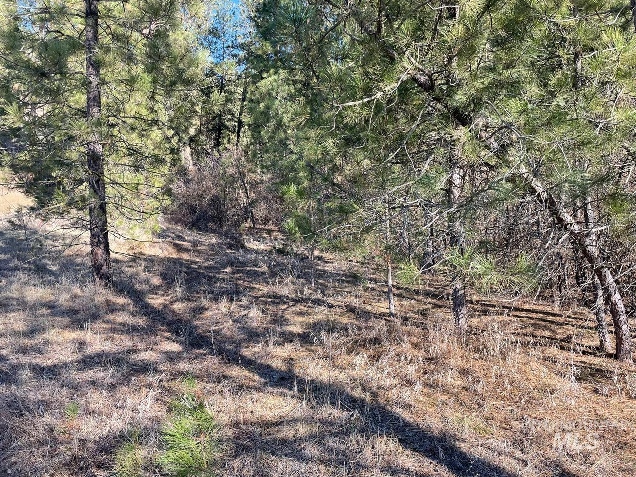 Tbd Meadow View Rd Property Photo 12
