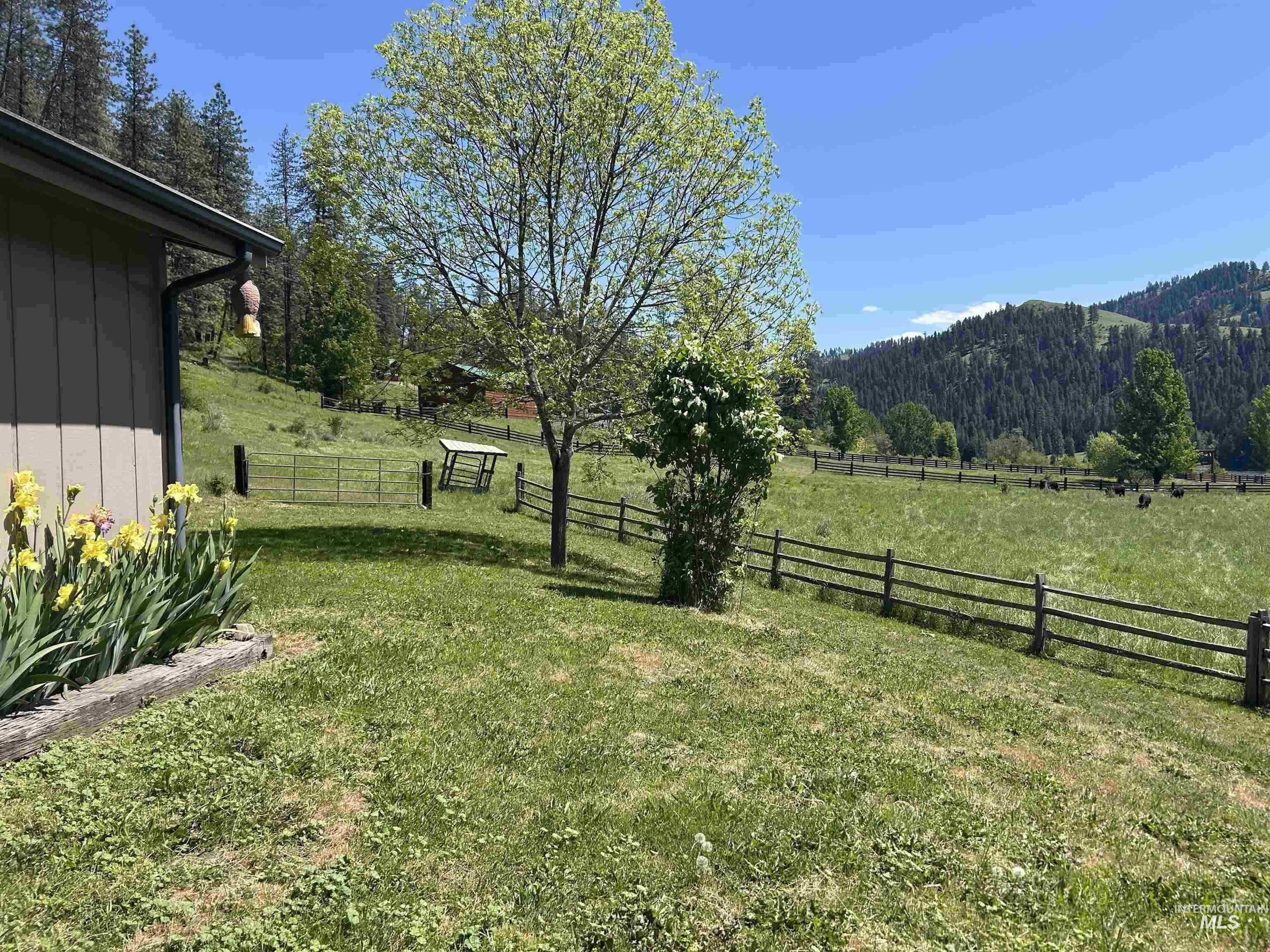 6215 Highway 12 Property Photo 4