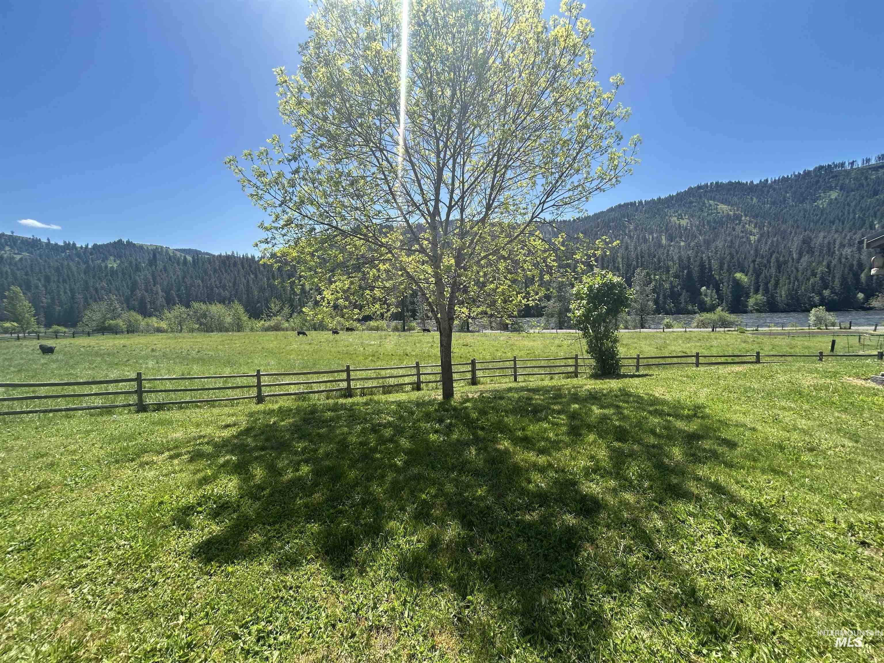 6215 Highway 12 Property Photo 23