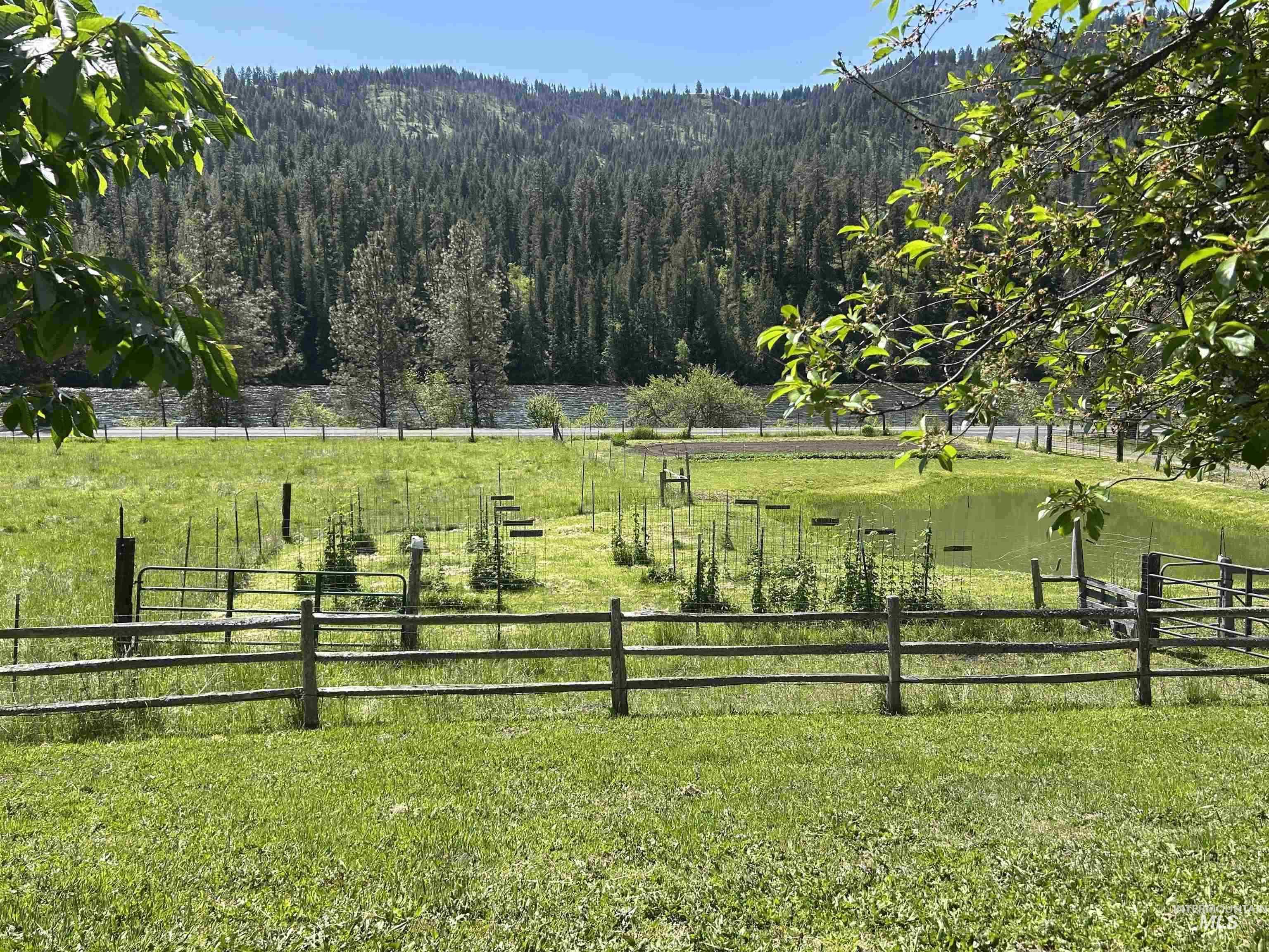 6215 Highway 12 Property Photo 33