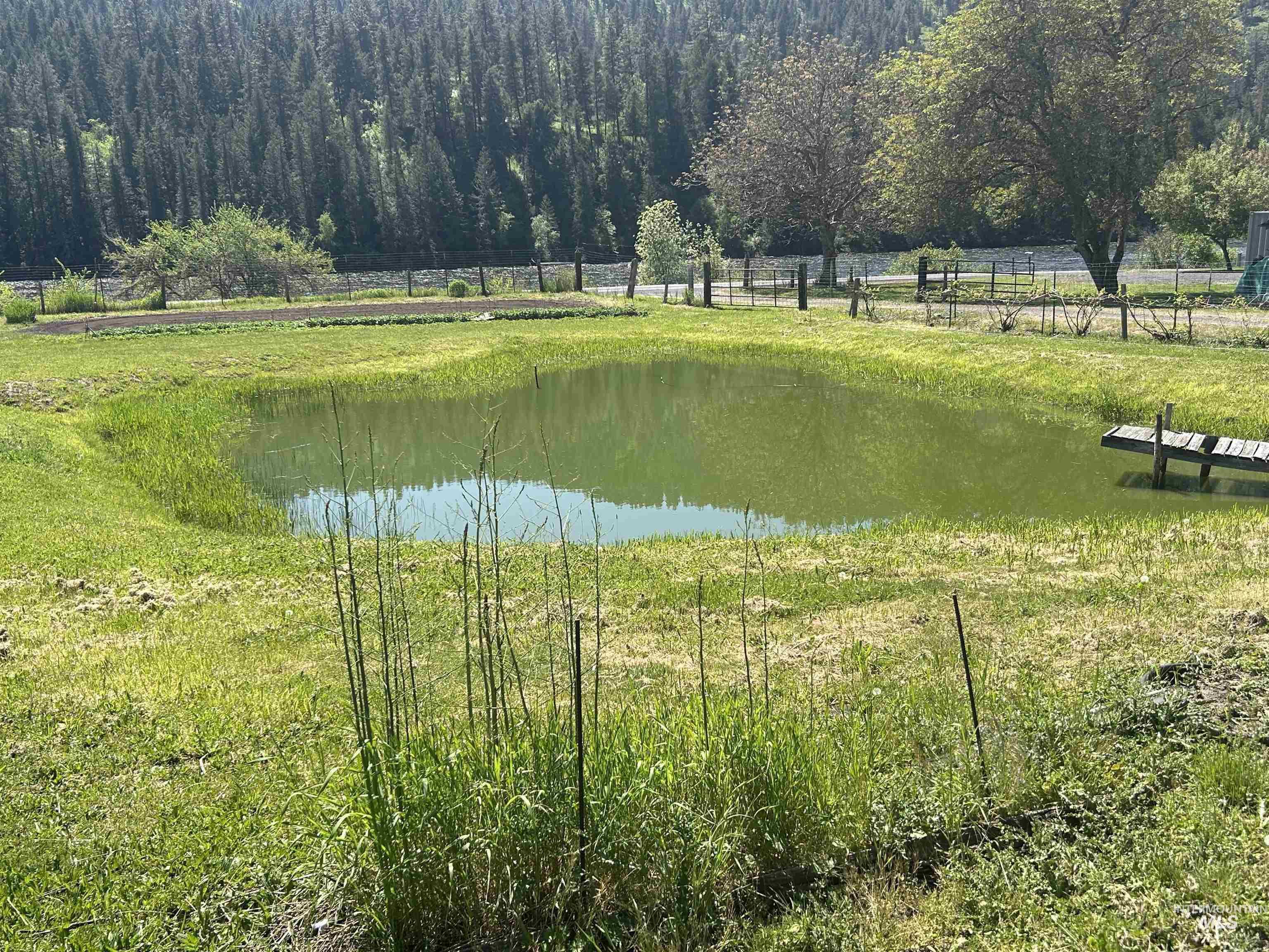 6215 Highway 12 Property Photo 42