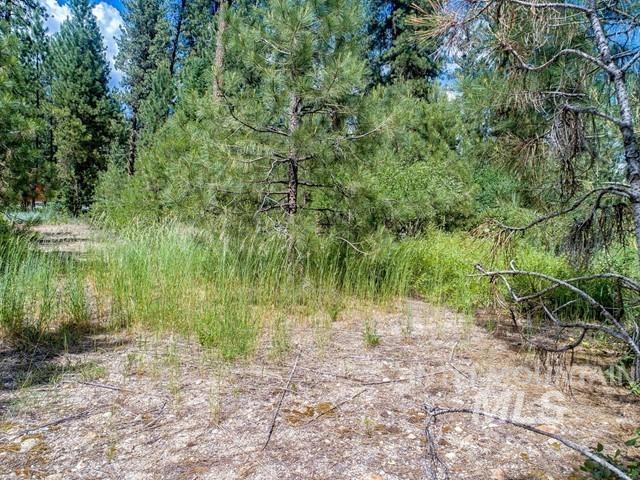 Tbd Cedar Ct Property Photo 17