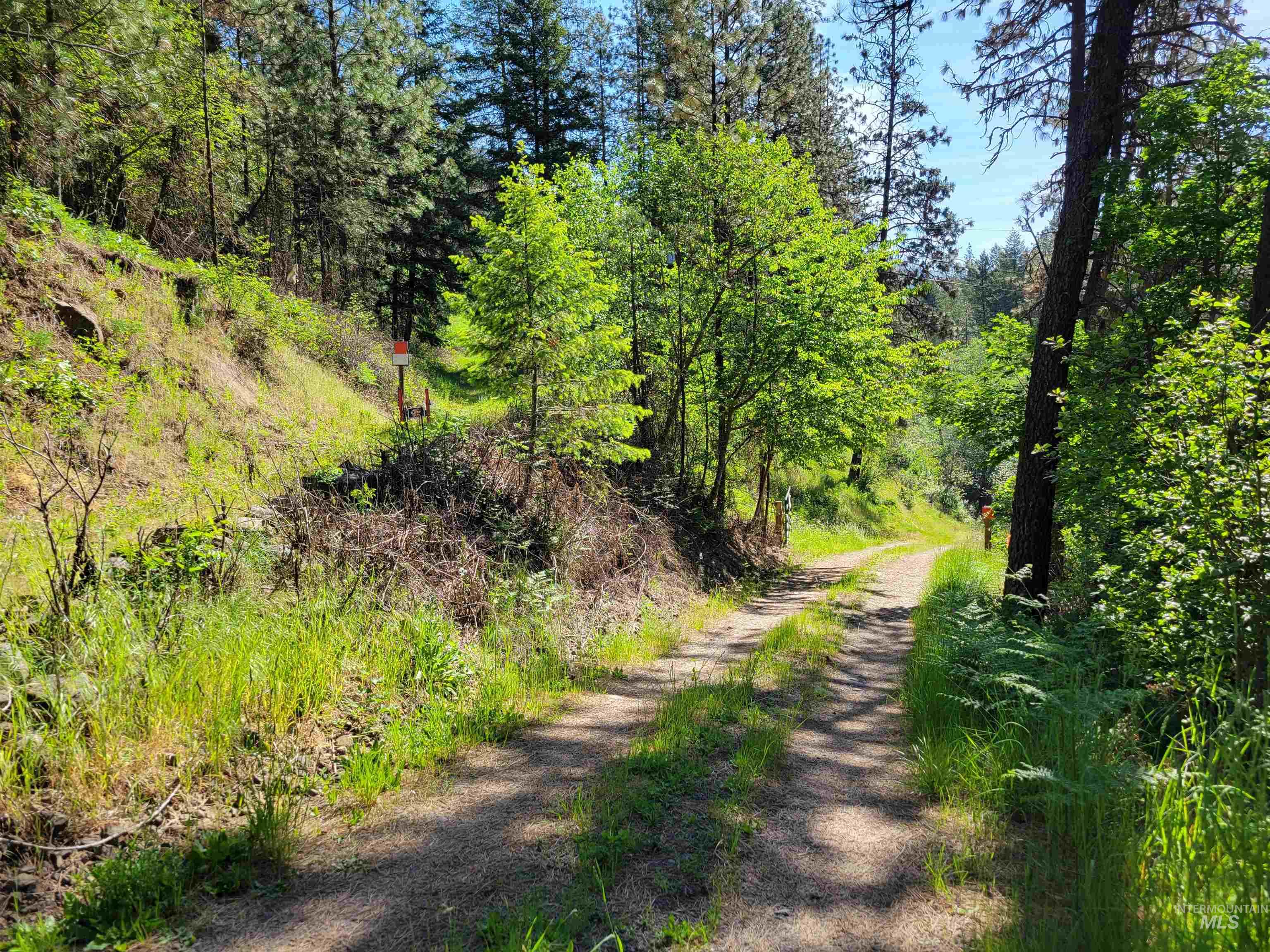 Tbd Twisted Tree Lane Property Photo 17