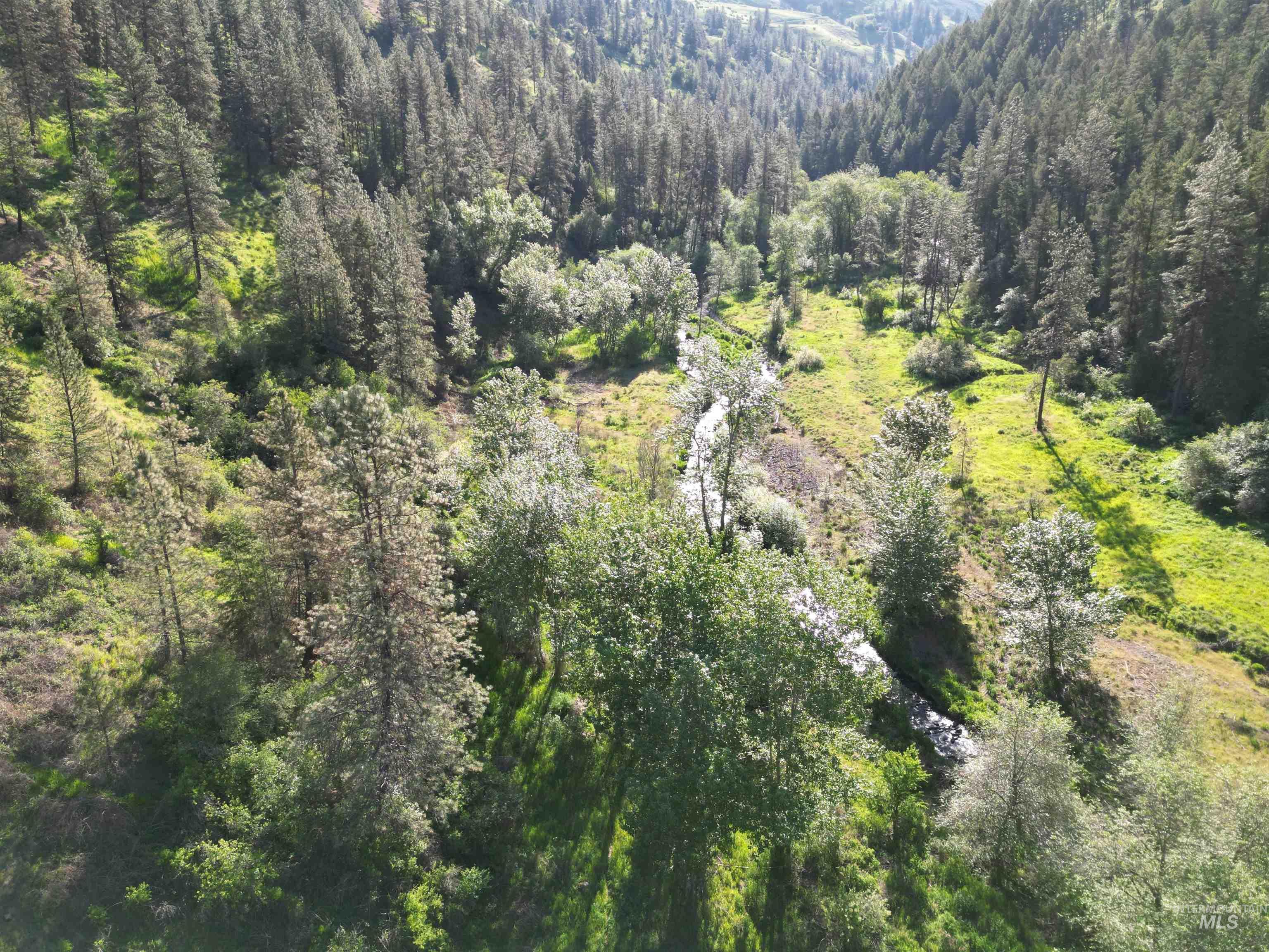 Tbd Twisted Tree Lane Property Photo 35