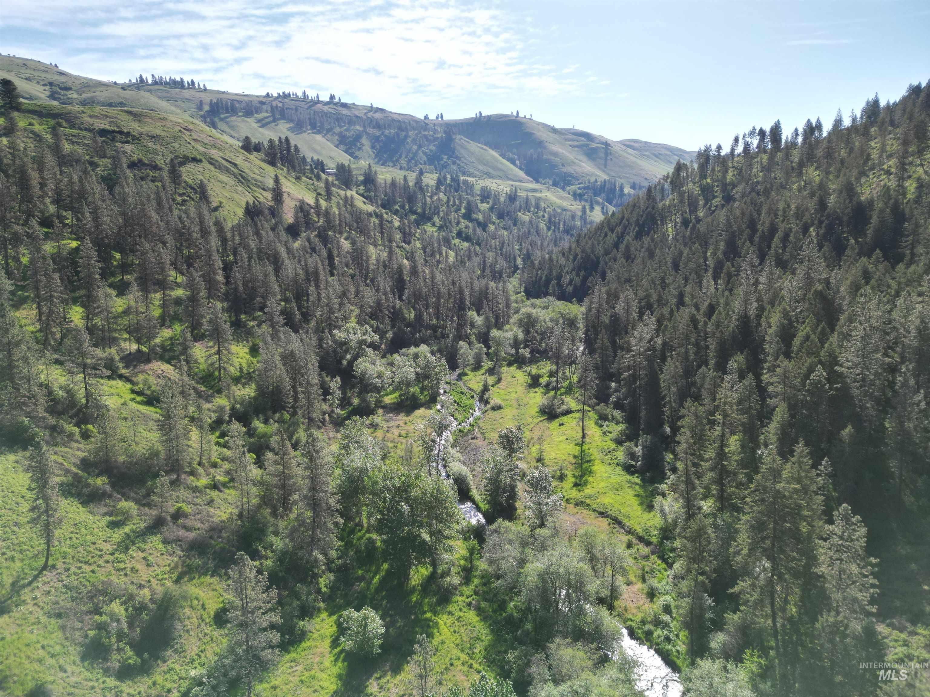 Tbd Twisted Tree Lane Property Photo 48