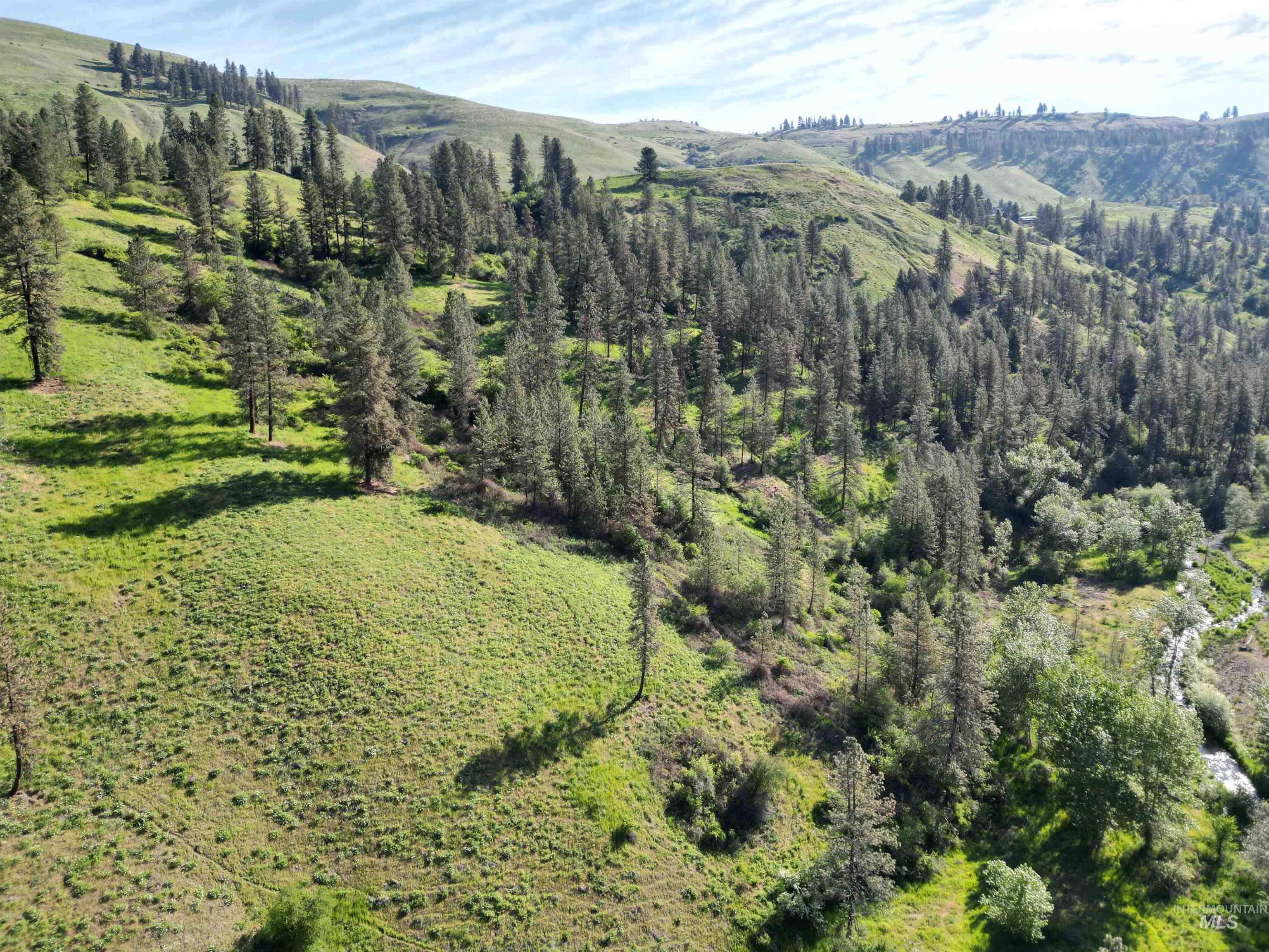 Tbd Twisted Tree Lane Property Photo 49