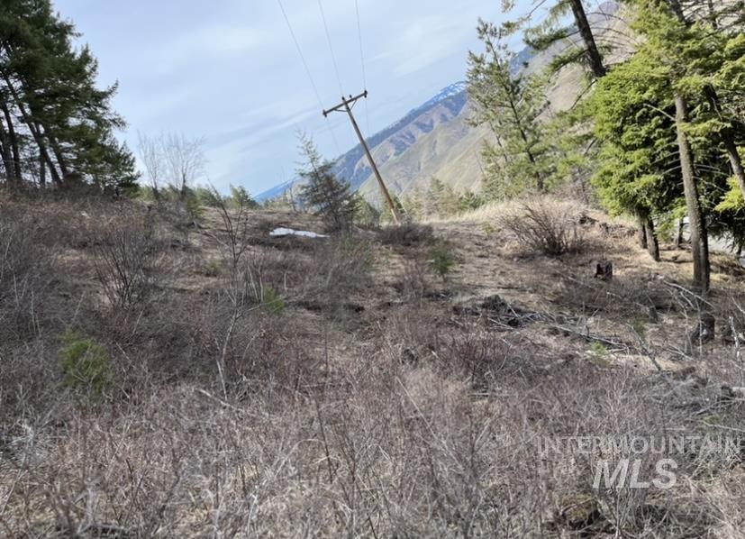 Tbd State Highway 129 Property Photo 3