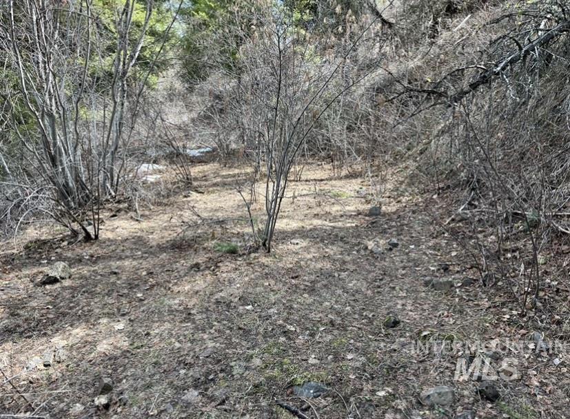 Tbd State Highway 129 Property Photo 4