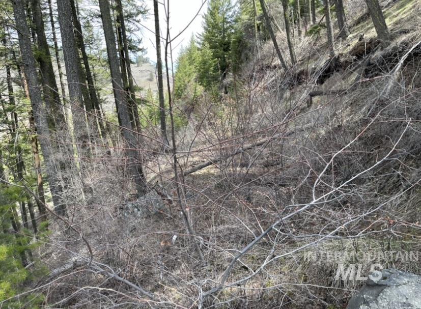 Tbd State Highway 129 Property Photo 6