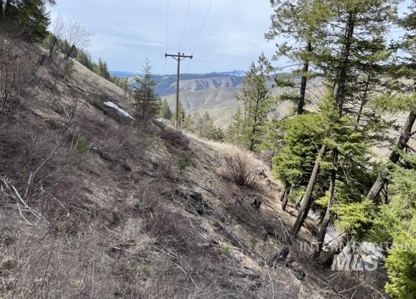 Tbd State Highway 129 Property Photo 7