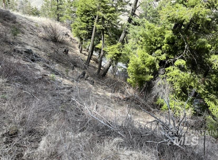 Tbd State Highway 129 Property Photo 8