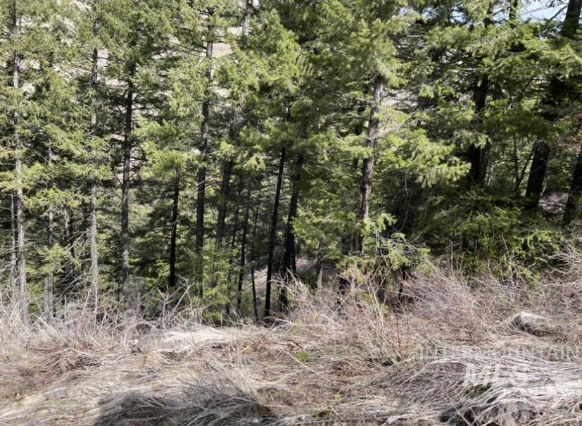 Tbd State Highway 129 Property Photo 11