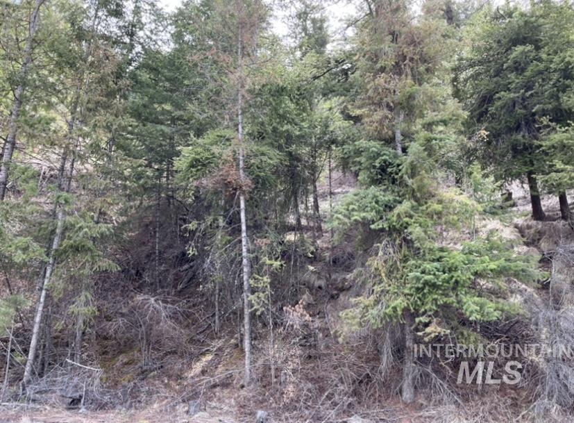 Tbd State Highway 129 Property Photo 13
