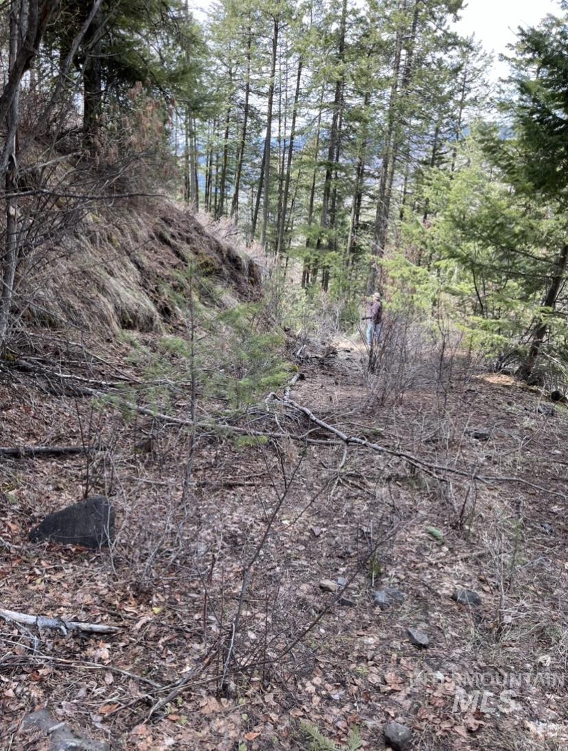 Tbd State Highway 129 Property Photo 14
