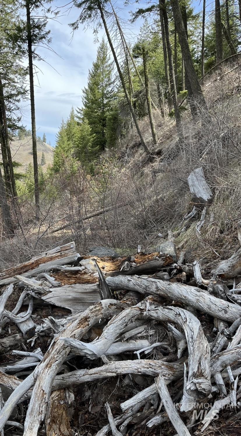 Tbd State Highway 129 Property Photo 15