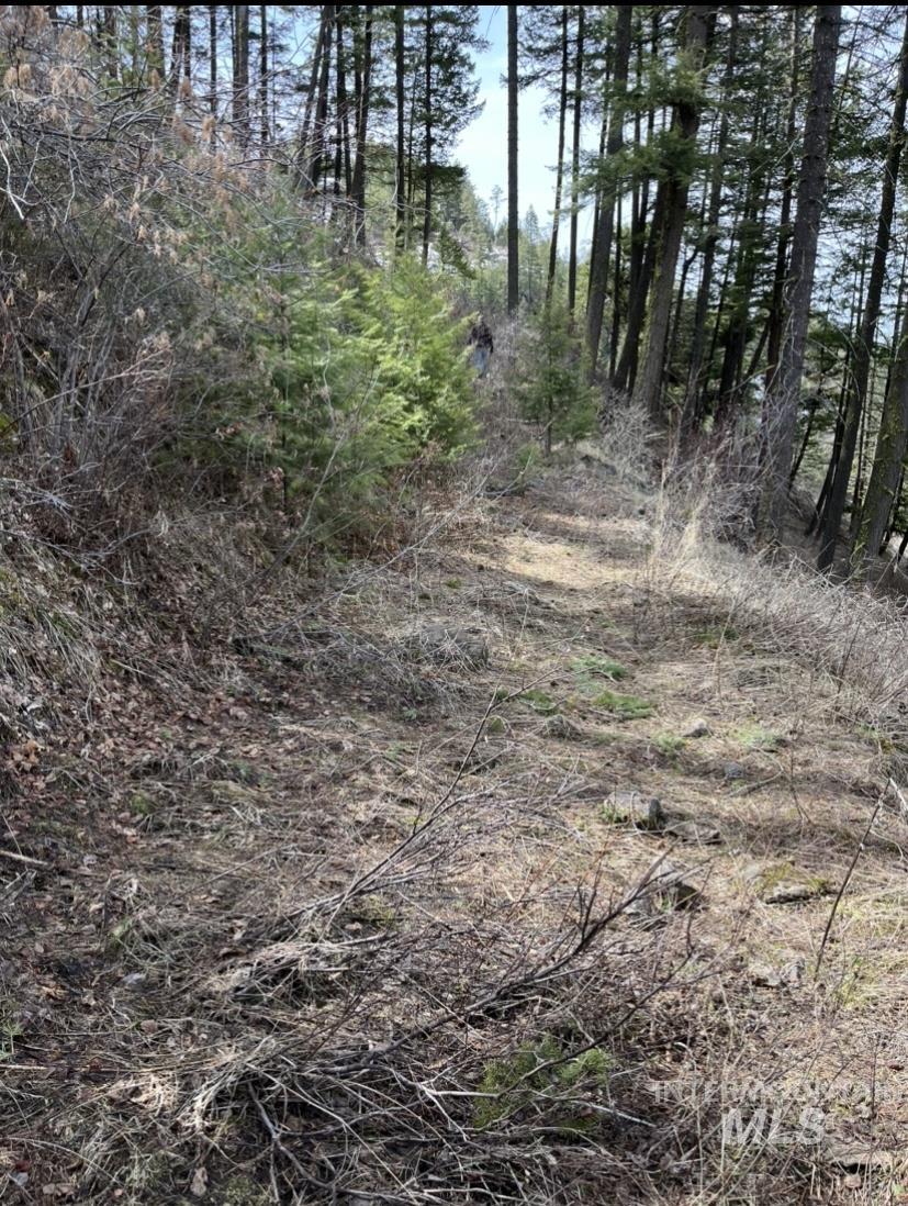 Tbd State Highway 129 Property Photo 16