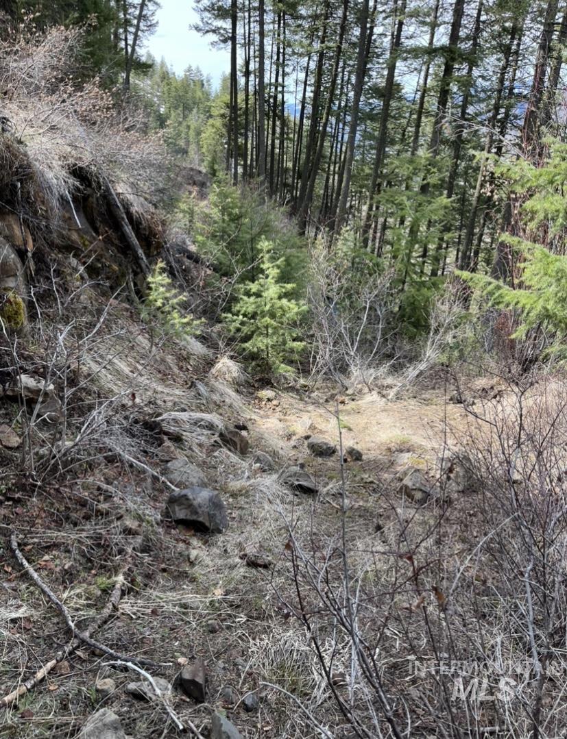 Tbd State Highway 129 Property Photo 17