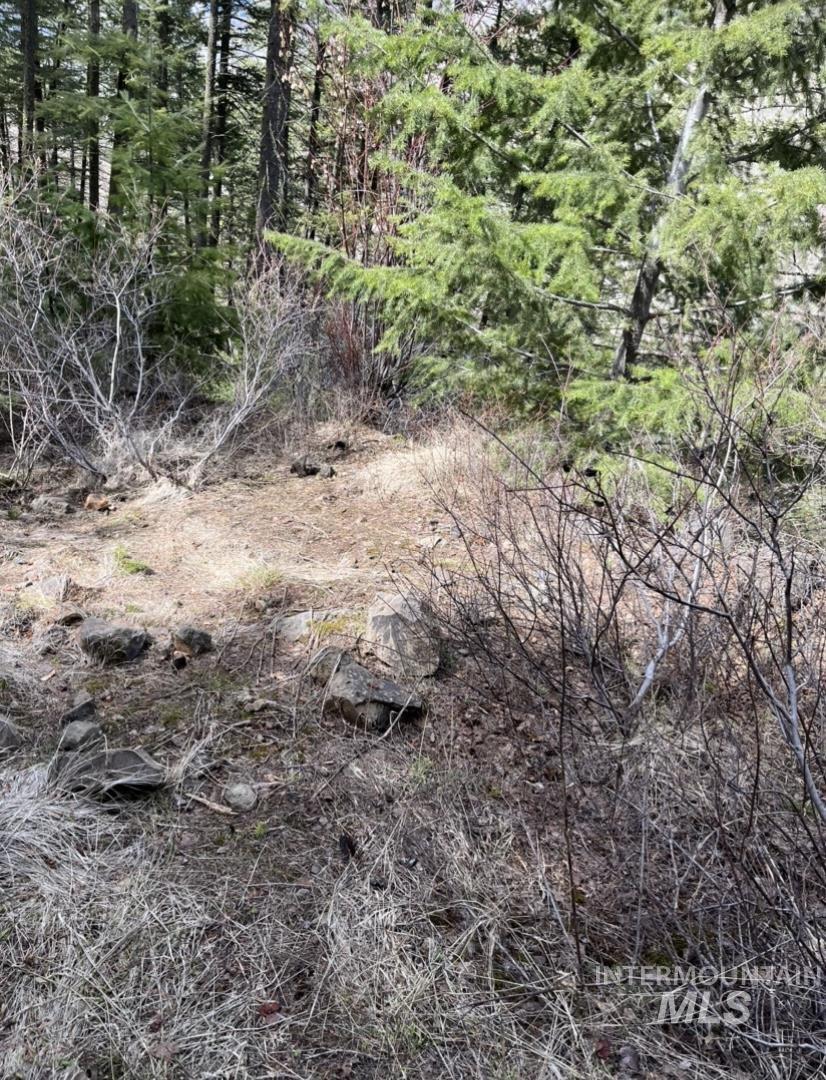 Tbd State Highway 129 Property Photo 18