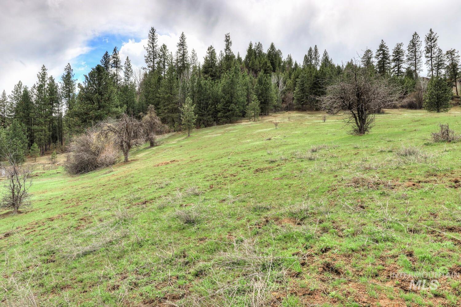 Lot 30 + Crosstimber Loop Property Photo 9