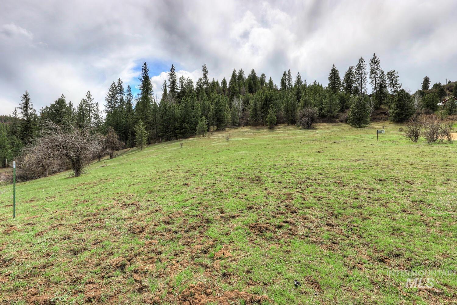 Lot 30 + Crosstimber Loop Property Photo 11