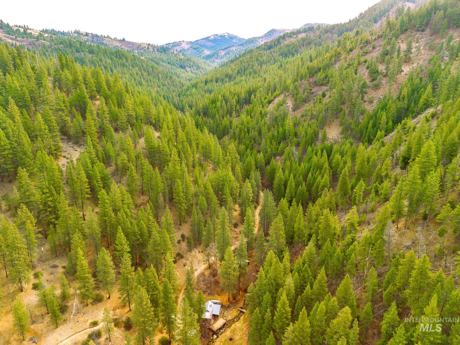 26 Yellow Pine Property Photo 3