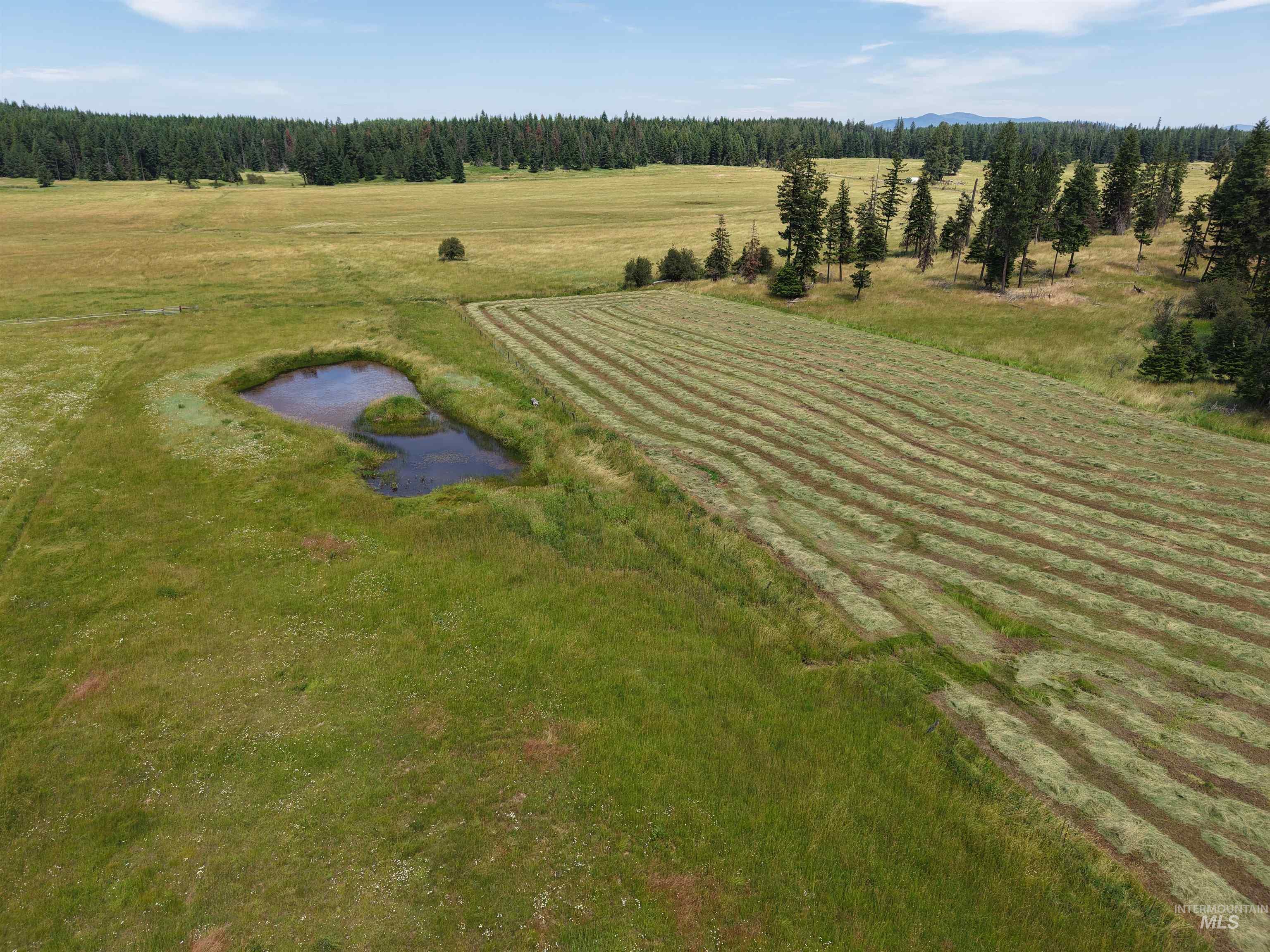 10749 Upper Fords Creek Property Photo 5