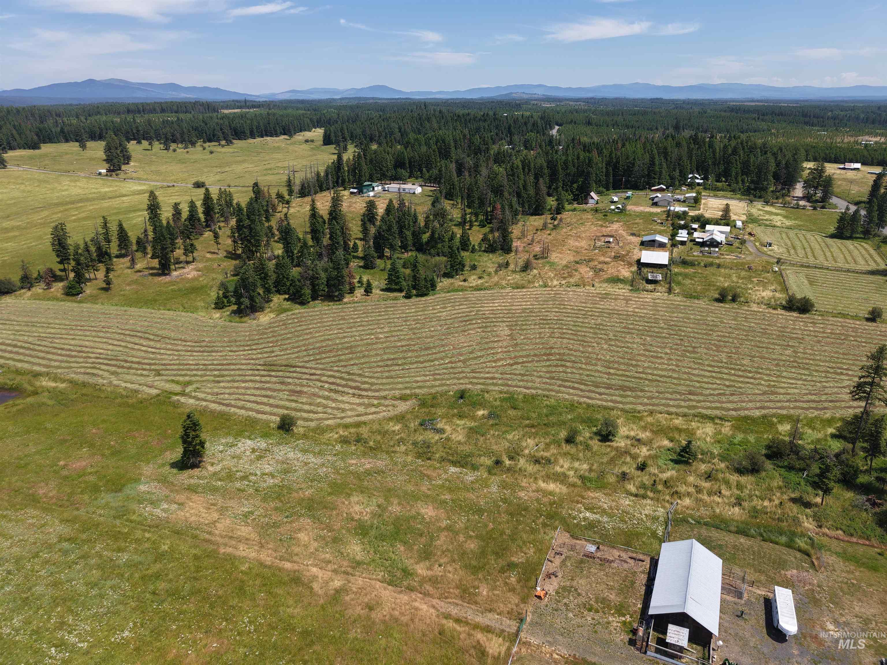10749 Upper Fords Creek Property Photo 6
