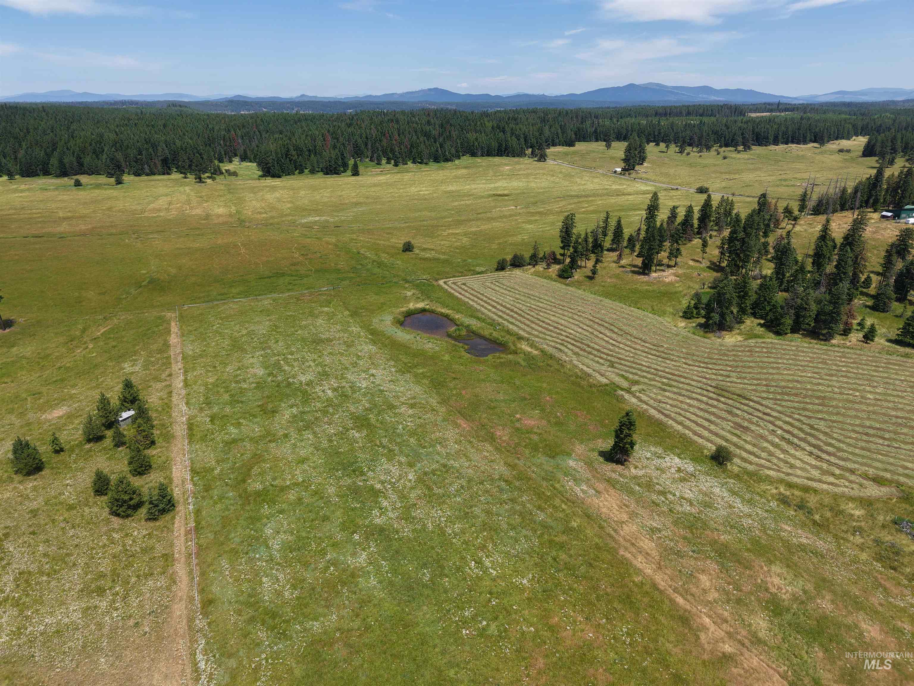10749 Upper Fords Creek Property Photo 7