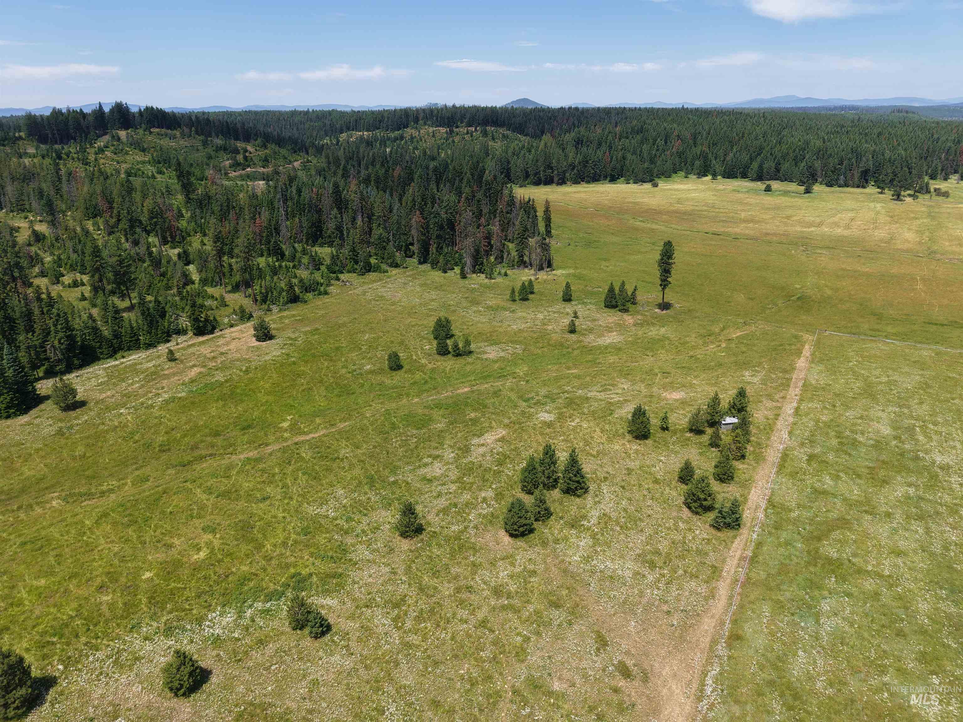 10749 Upper Fords Creek Property Photo 8