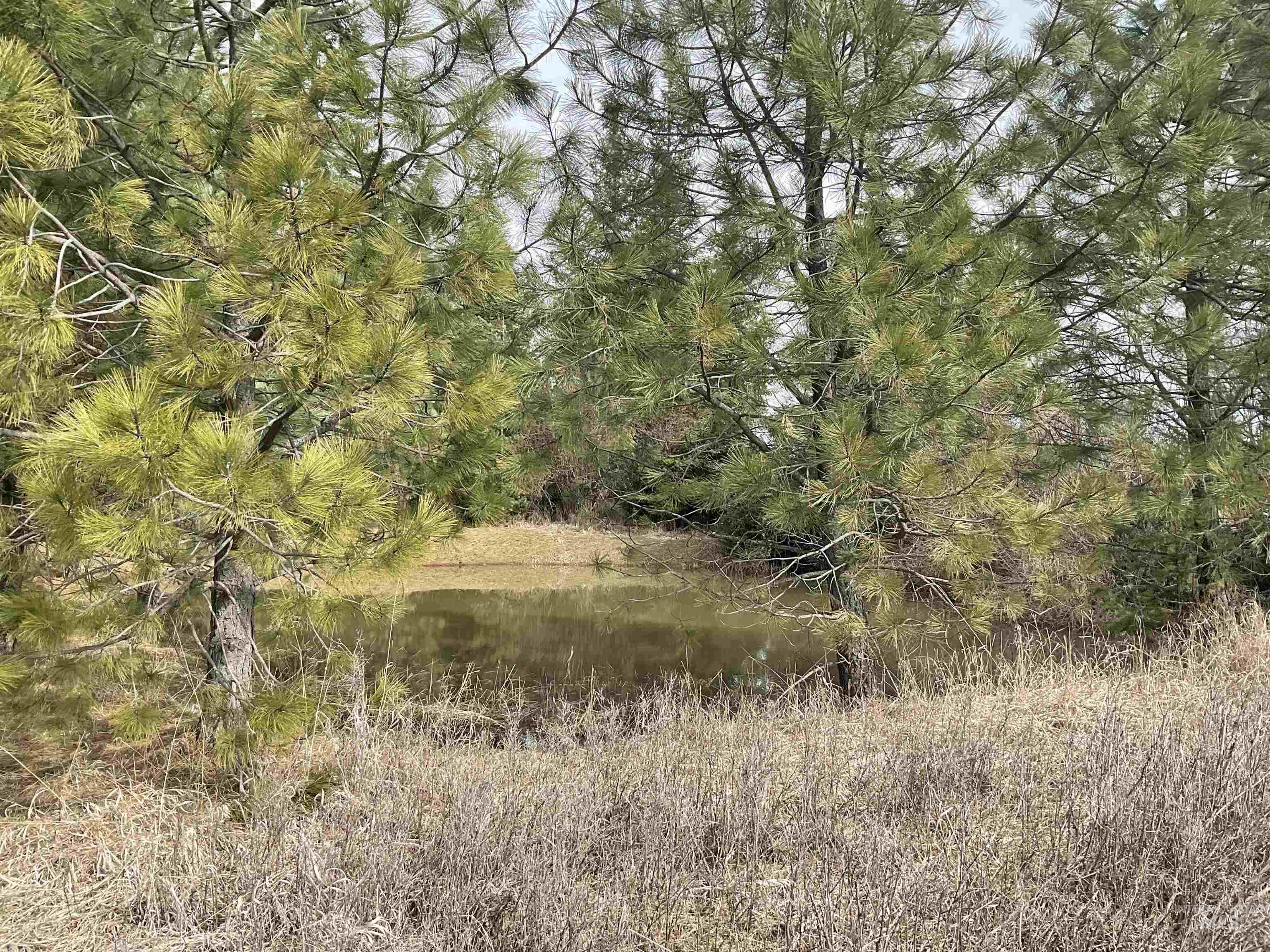 10749 Upper Fords Creek Property Photo 13