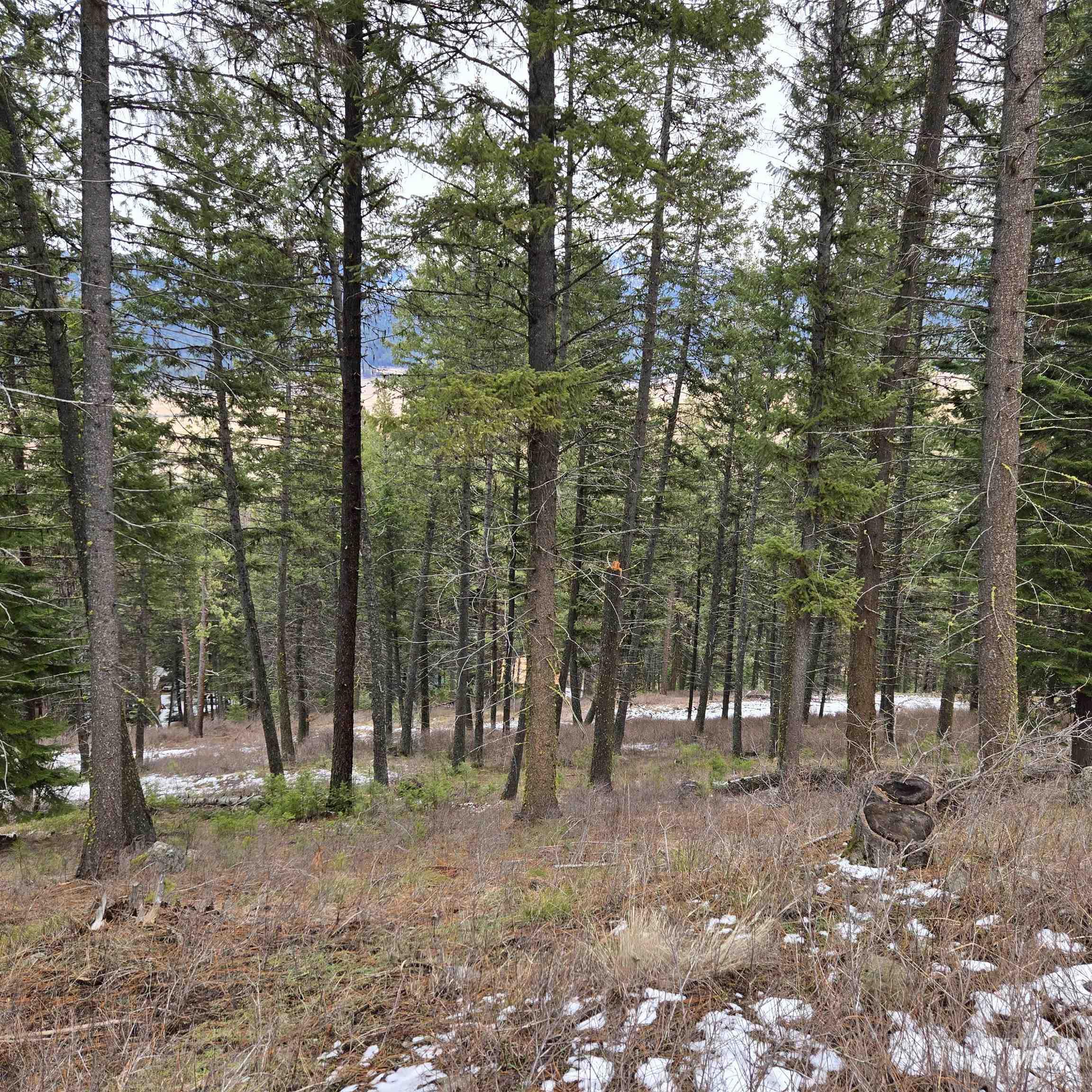 Tbd Granite View Rd Property Photo 2