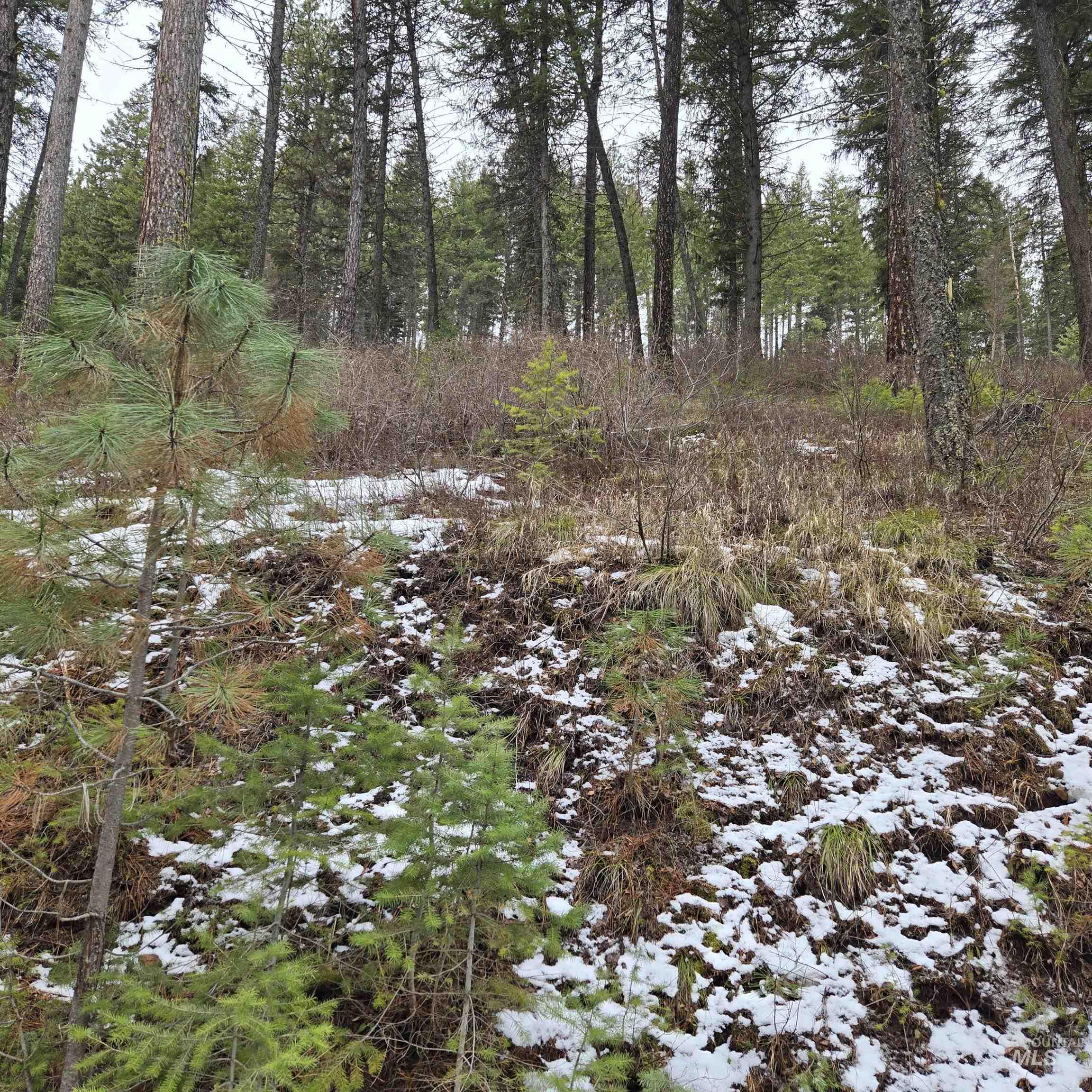 Tbd Granite View Rd Property Photo 3