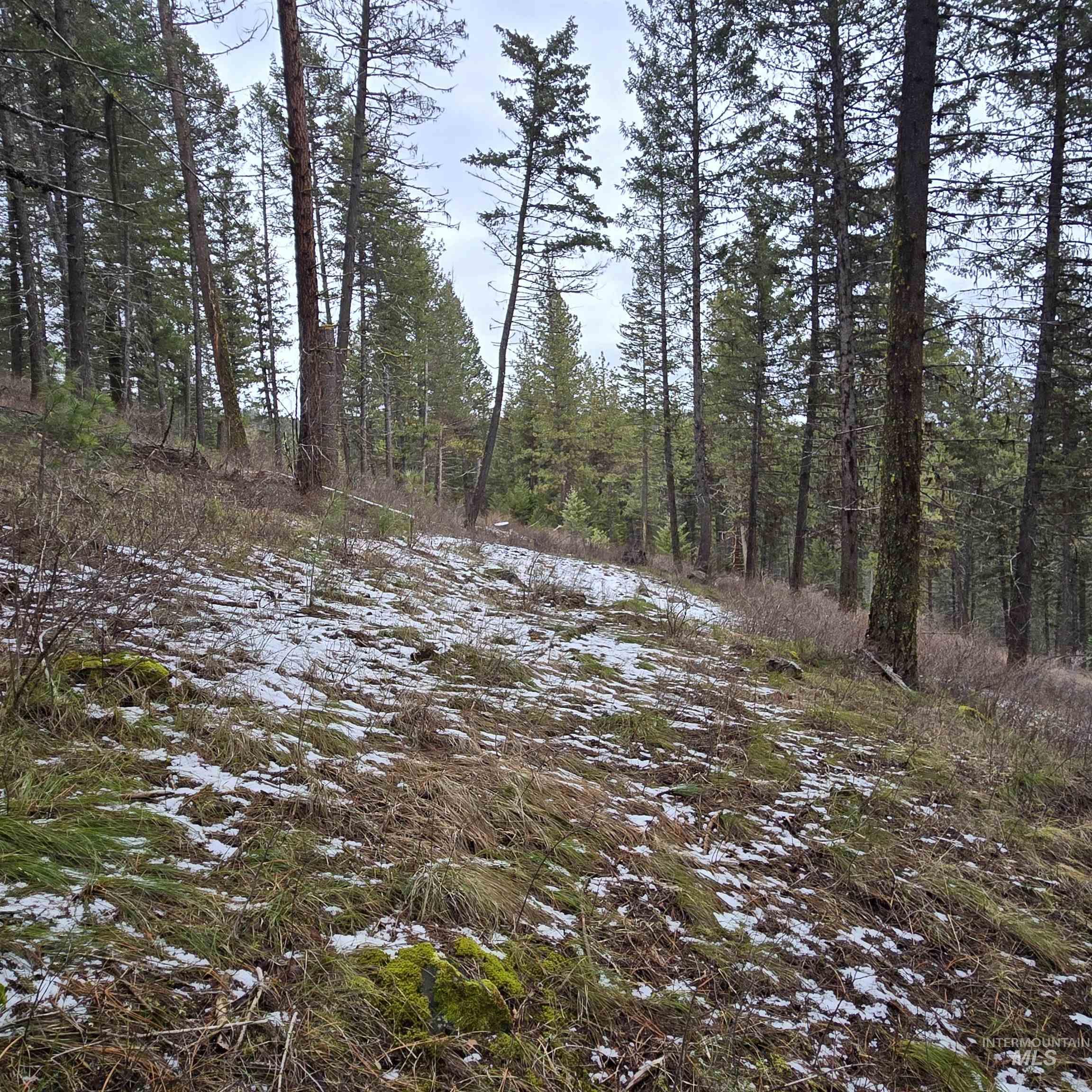 Tbd Granite View Rd Property Photo 4