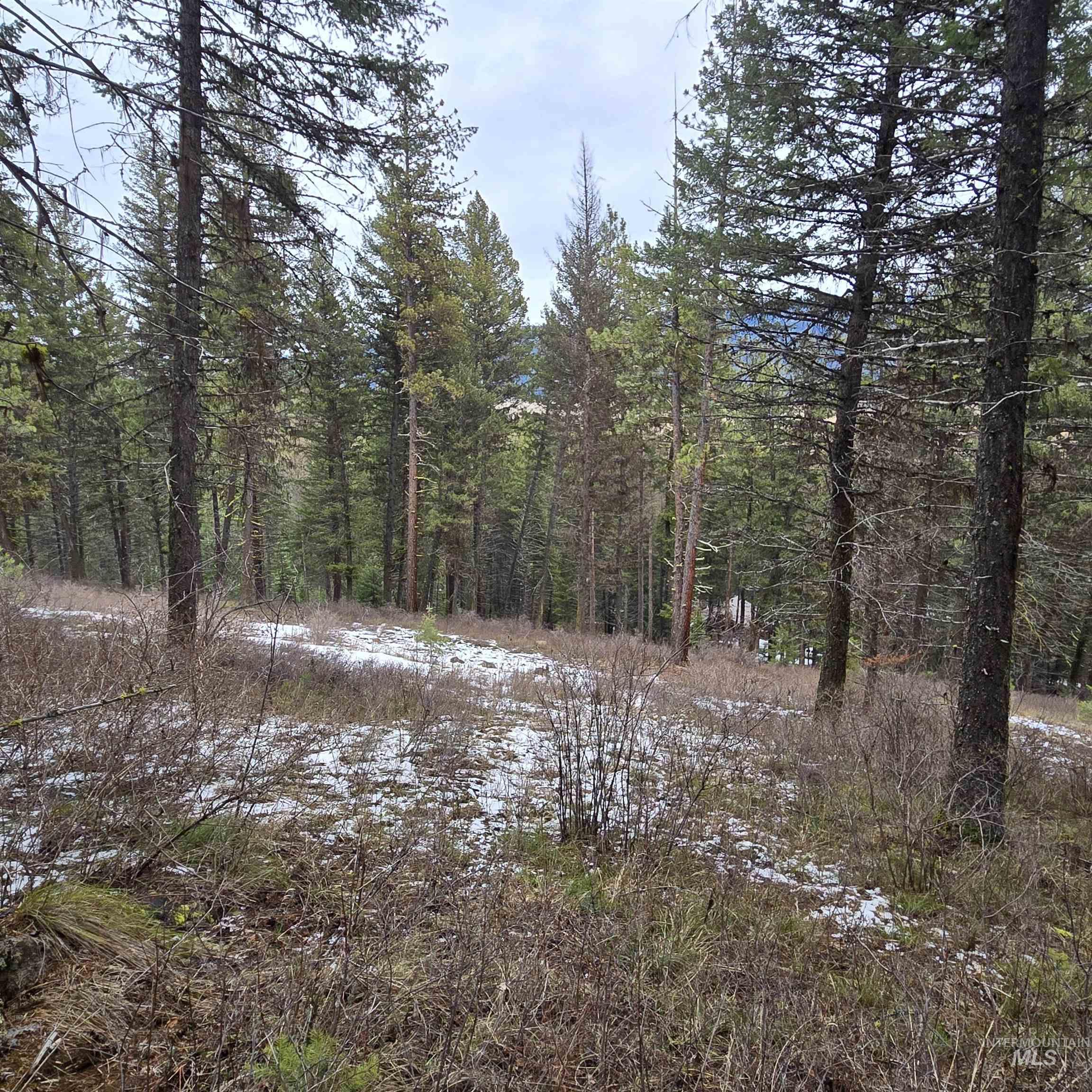 Tbd Granite View Rd Property Photo 5