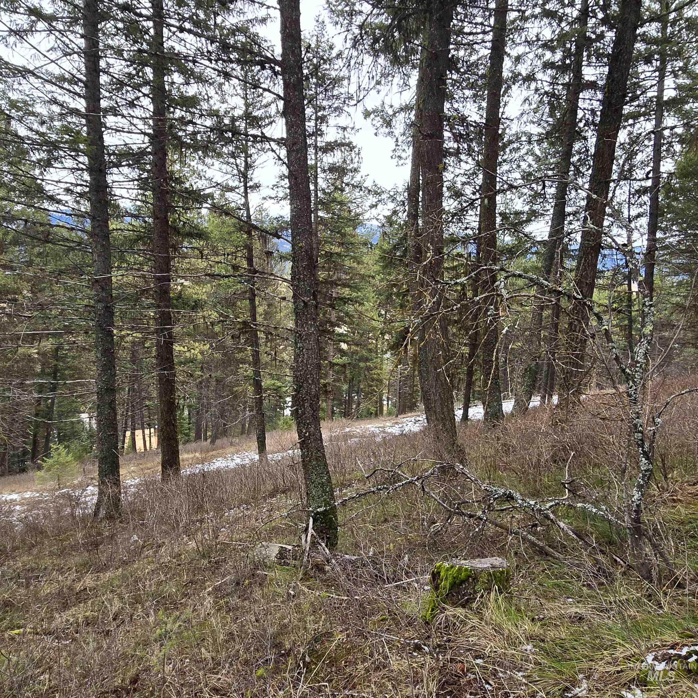 Tbd Granite View Rd Property Photo 6