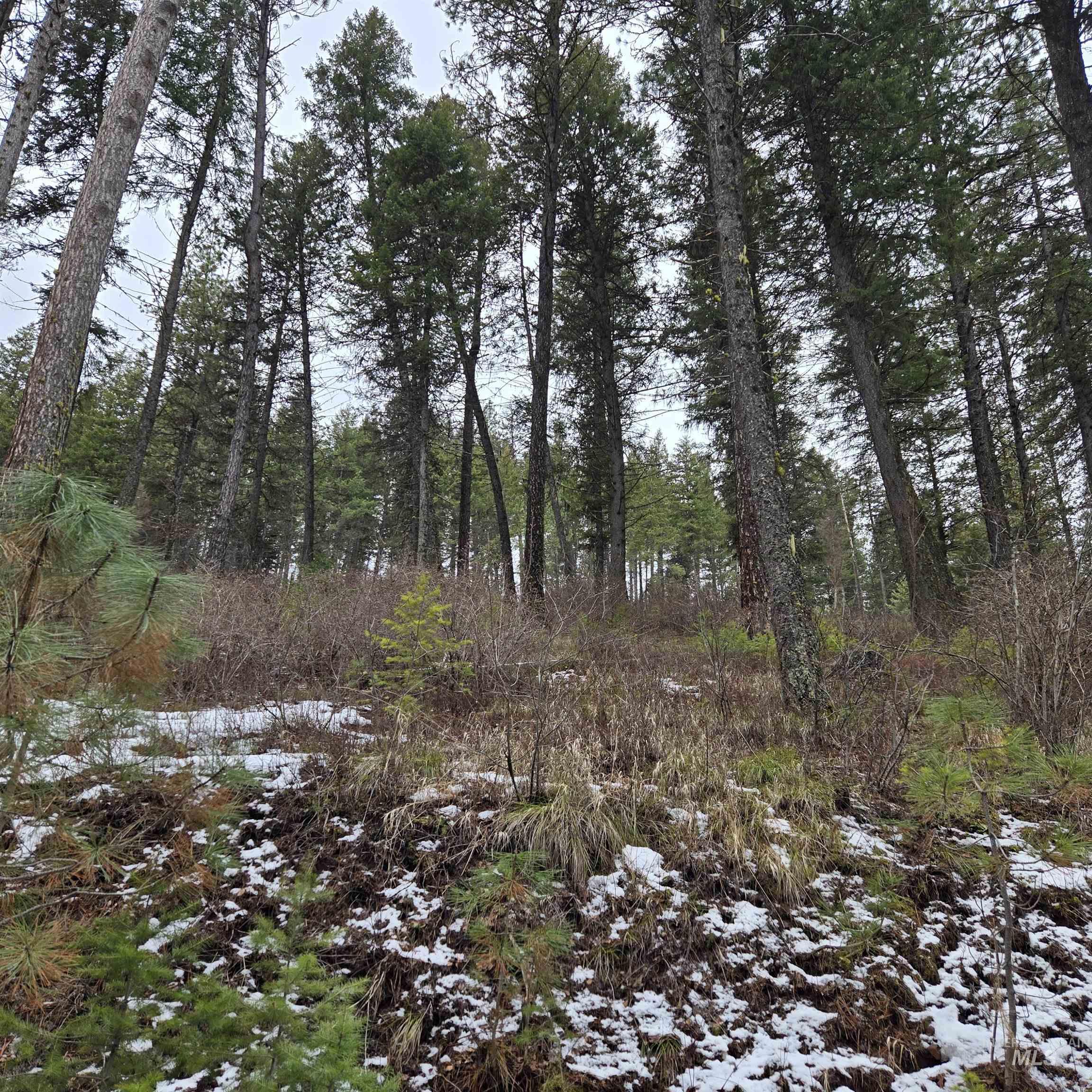Tbd Granite View Rd Property Photo 7