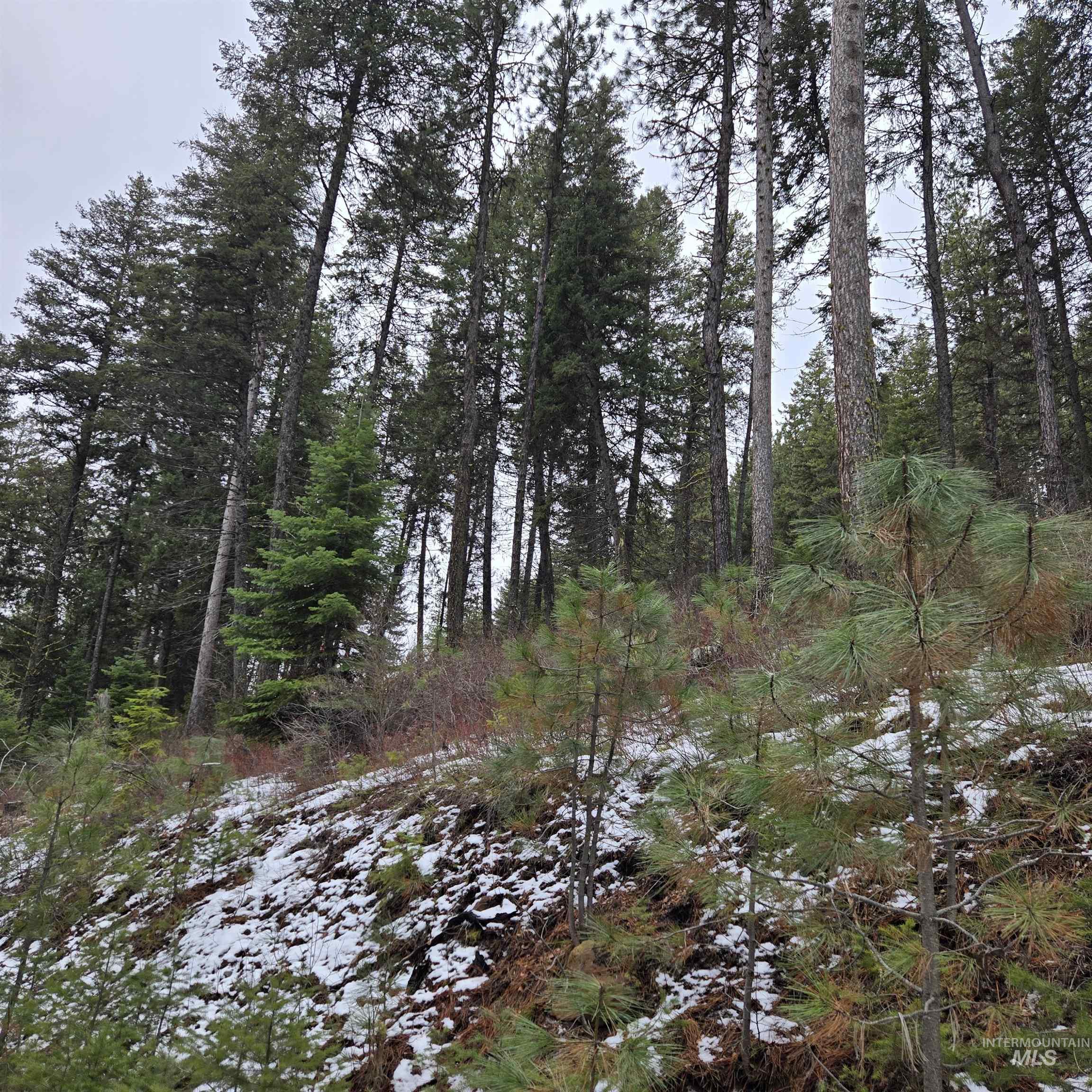 Tbd Granite View Rd Property Photo 8