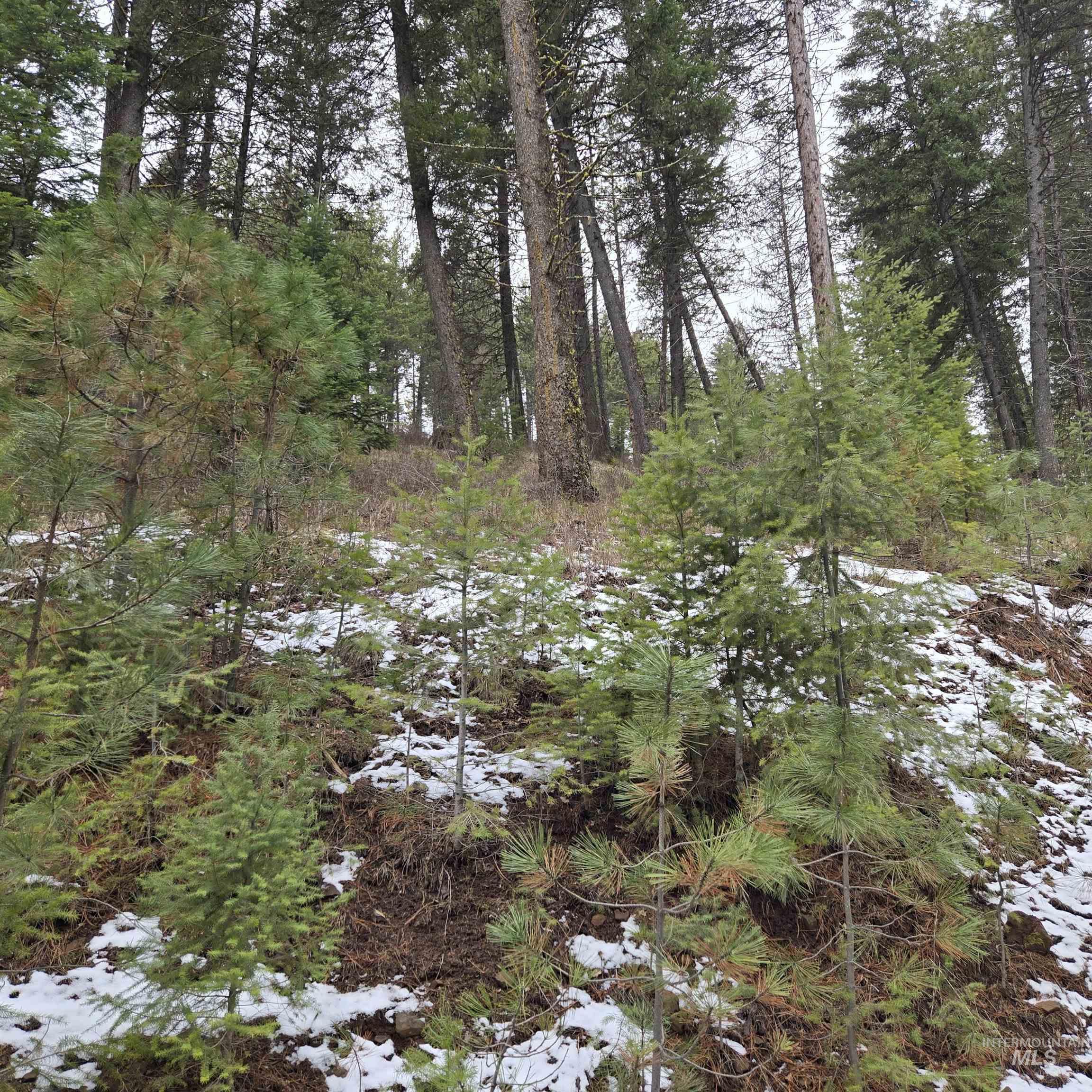 Tbd Granite View Rd Property Photo 9