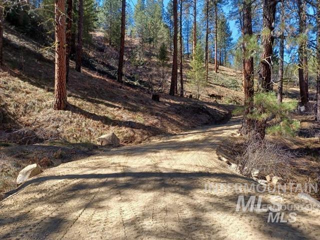 Tbd Hwy 21 Property Photo 2