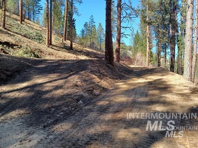 Tbd Hwy 21 Property Photo 3
