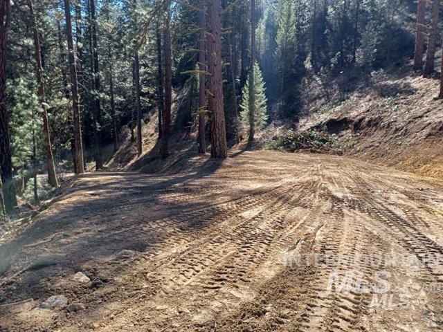 Tbd Hwy 21 Property Photo 4