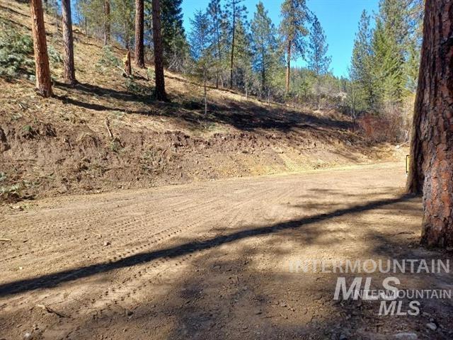 Tbd Hwy 21 Property Photo 6