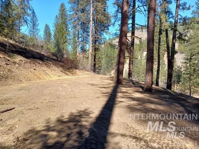 Tbd Hwy 21 Property Photo 7