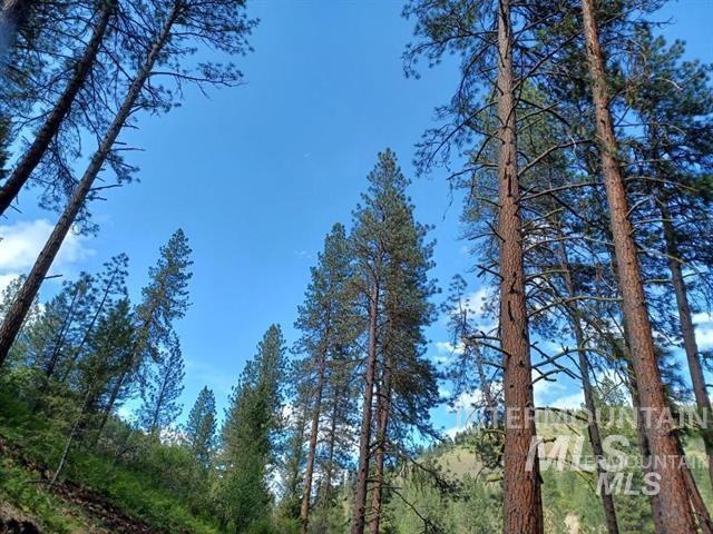 Tbd Hwy 21 Property Photo 10