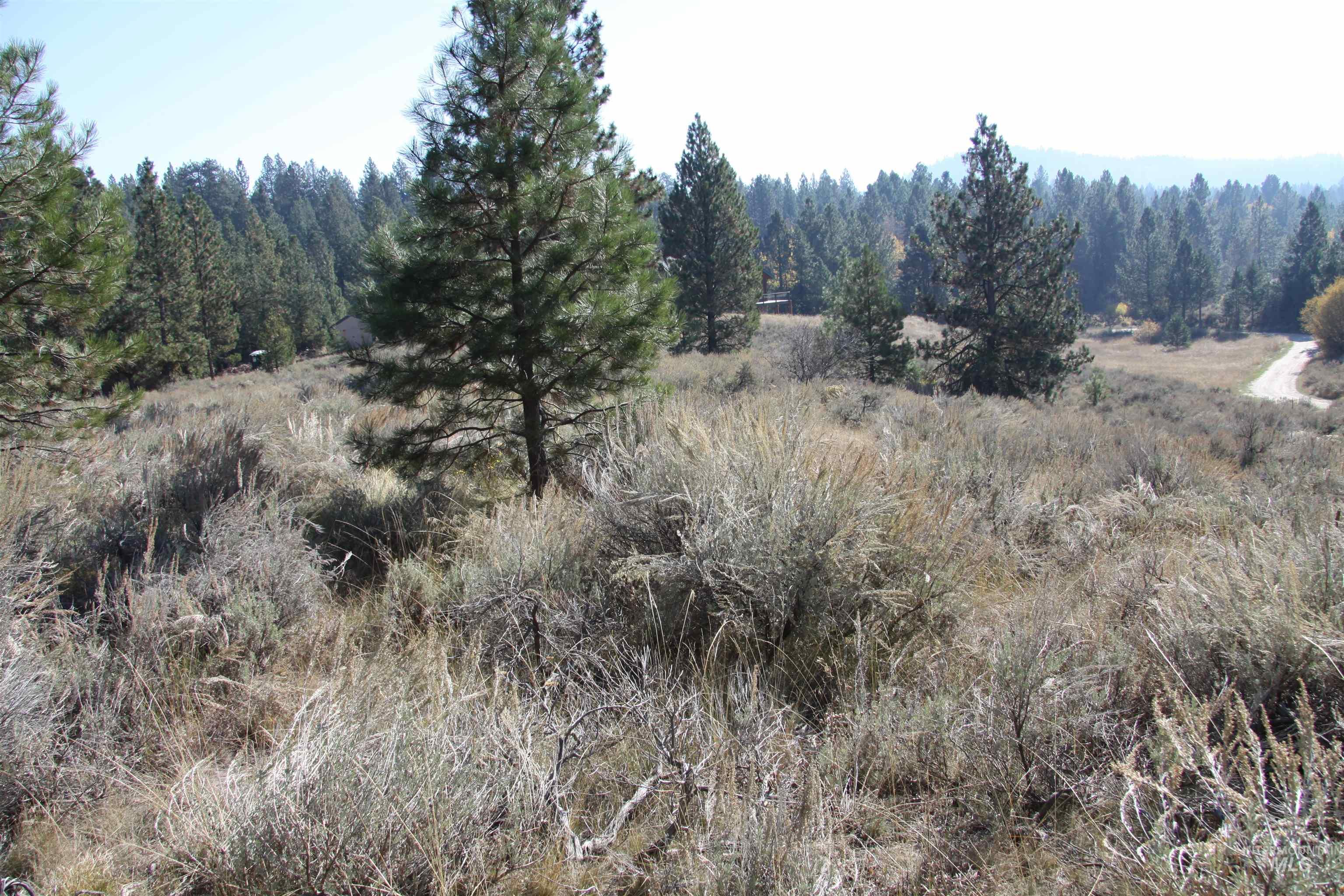 41 Vista Point Loop Property Photo 3