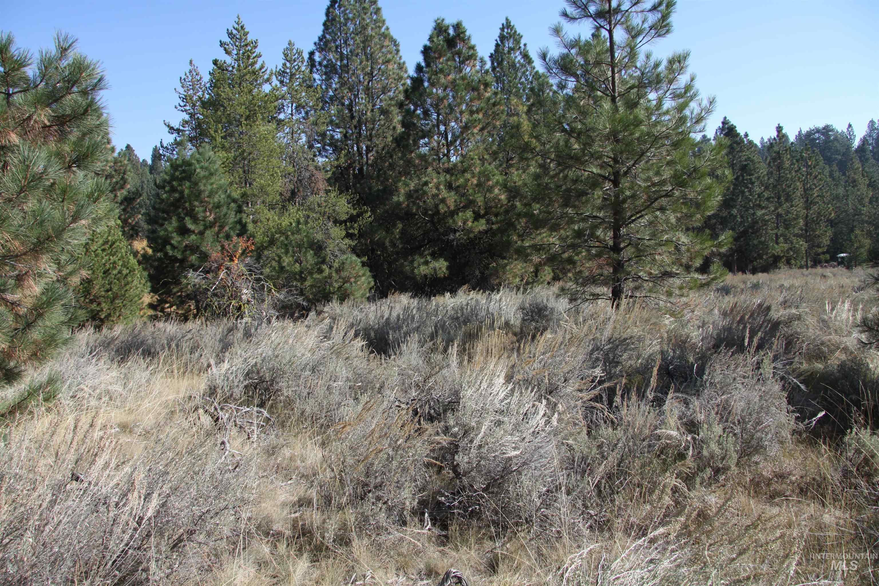 41 Vista Point Loop Property Photo 5