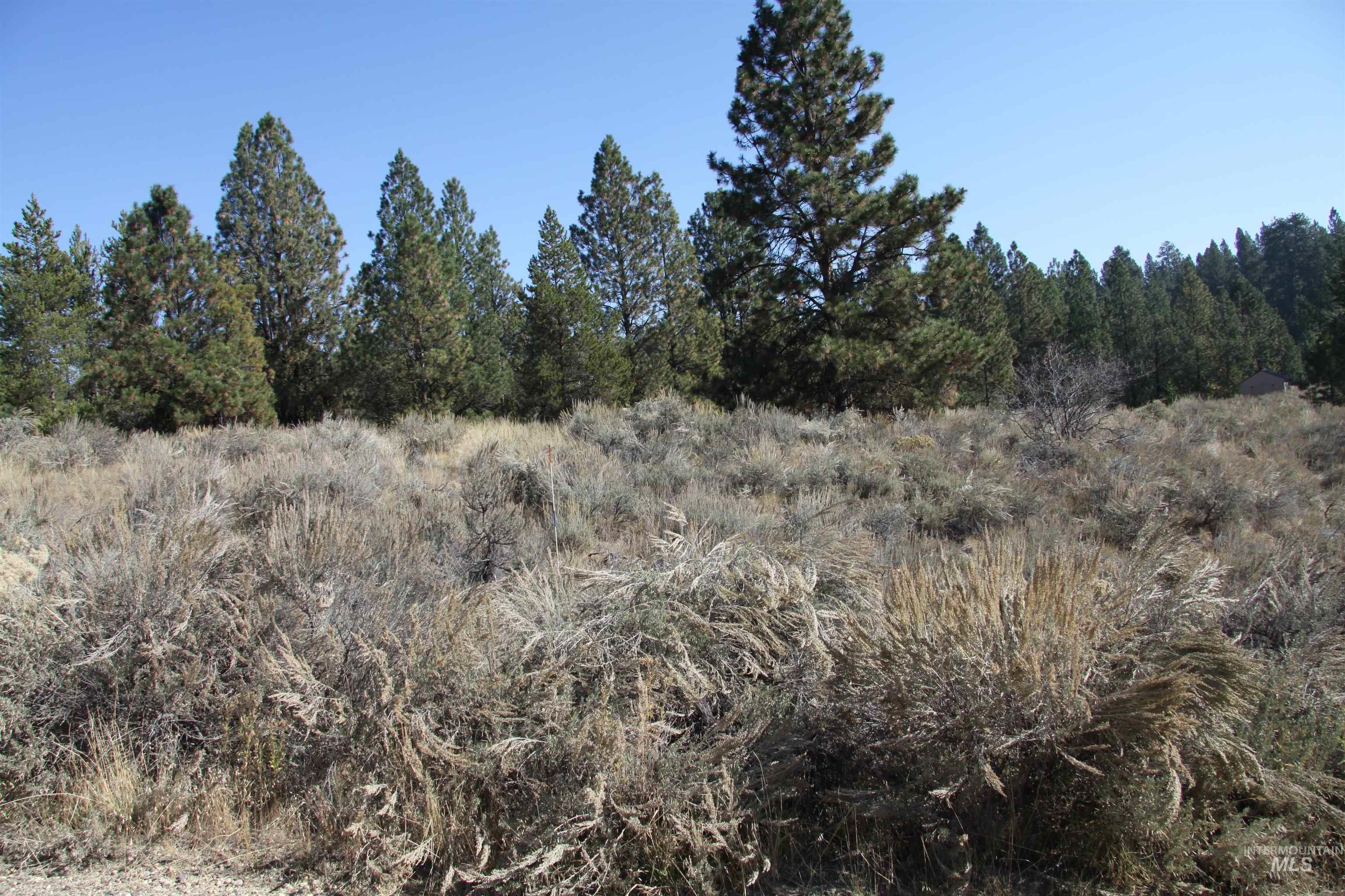 41 Vista Point Loop Property Photo 6