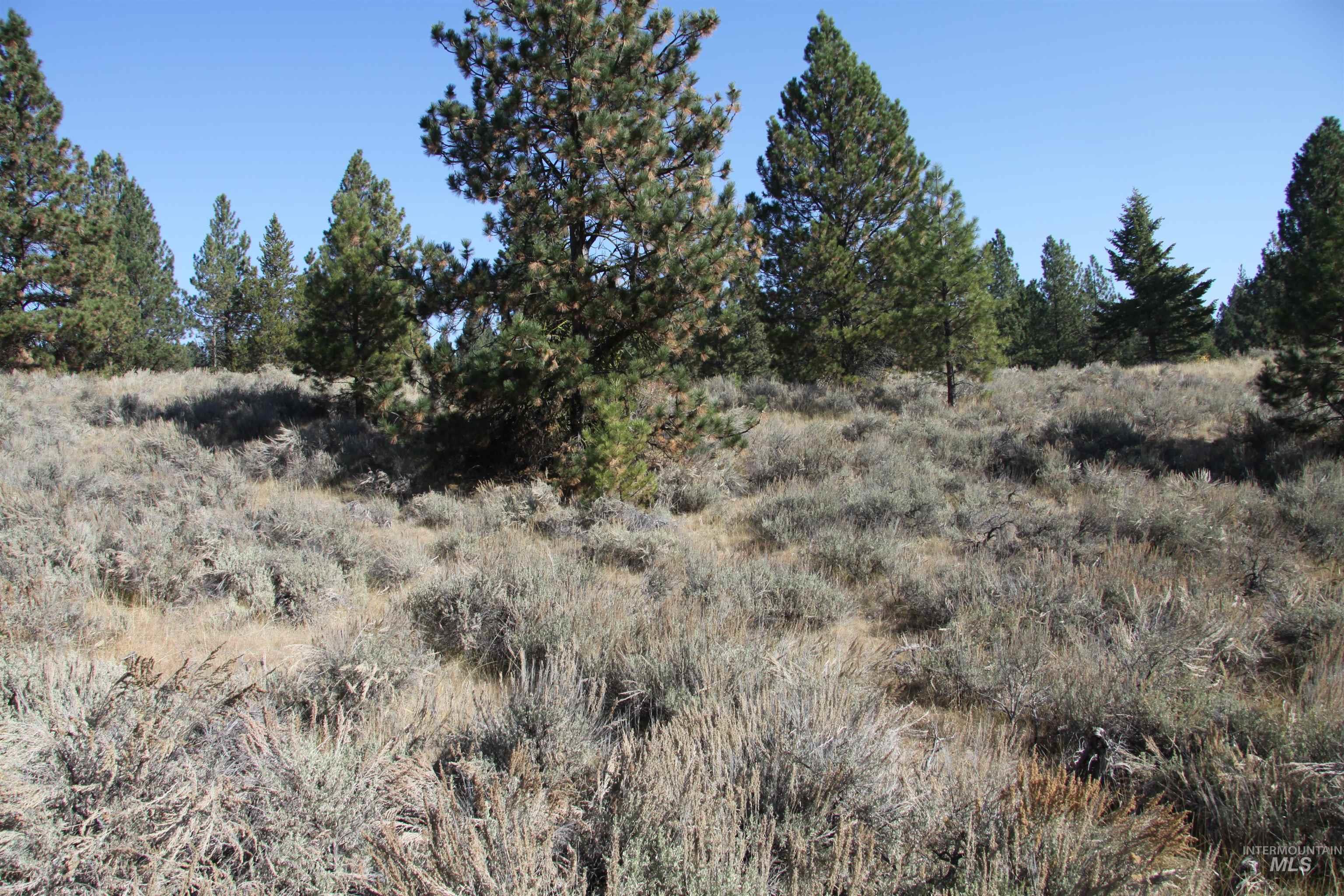 41 Vista Point Loop Property Photo 7